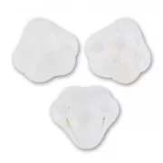 Campanas 10 mm Crystal Mat AB x20