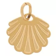 Charm de concha 9x10 mm - Acero inoxidable 316L Dorado x1