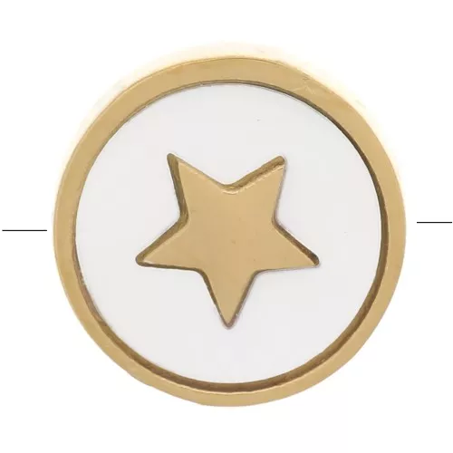 Cuenta pasante de estrella redondo de 10 mm de nácar - Acero inoxidable dorado 304 - Natural x1