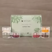Kit de cuentas Miyuki By Perles & Co - Miyuki Delica 11/0 Gypsy Mix