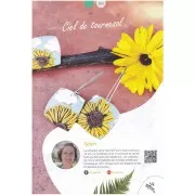 Polymer and Co n°36 - Octubre - Noviembre - Diciembre 2022 - Revista