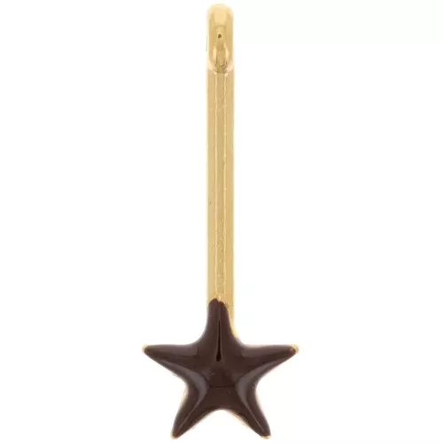 Colgante barra con estrella 28x10 mm y resina epoxi - Dorado oro fino - Marrón x1