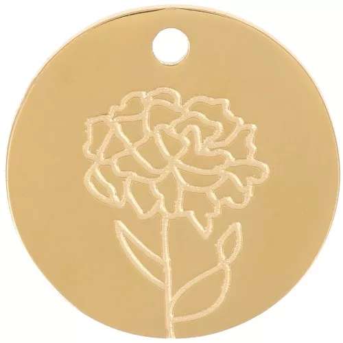 Colgante Flor de Nacimiento 15 mm - Enero - Ojal - Acero inoxidable 316L Dorado