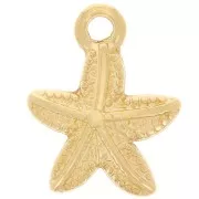 Estrella de mar 15x12 mm - Dorado oro fino x1