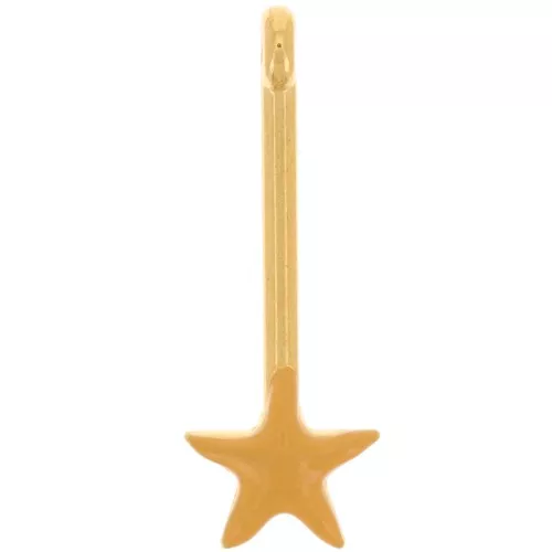 Colgante barra con estrella 28x10 mm y resina epoxi - Dorado - Ocre x1
