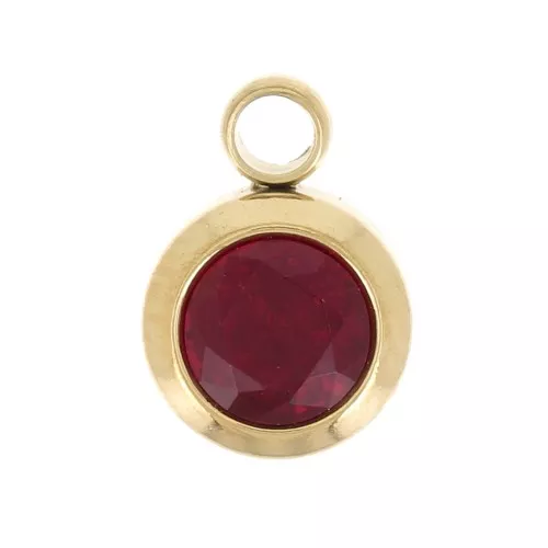 Dije de piedra de nacimiento óxido de circonio Janvier 6mm Acero inoxidable 304L Dorado Siam