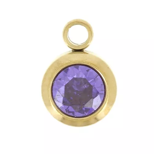 Dije de piedra de nacimiento óxido de circonio 6mm Febrero Acero inoxidable304L Dorado Amatista