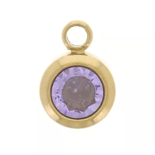 Dije de piedra de nacimiento circón 6mm Junio Acero inoxidable 304L Dorado Luz Amatista
