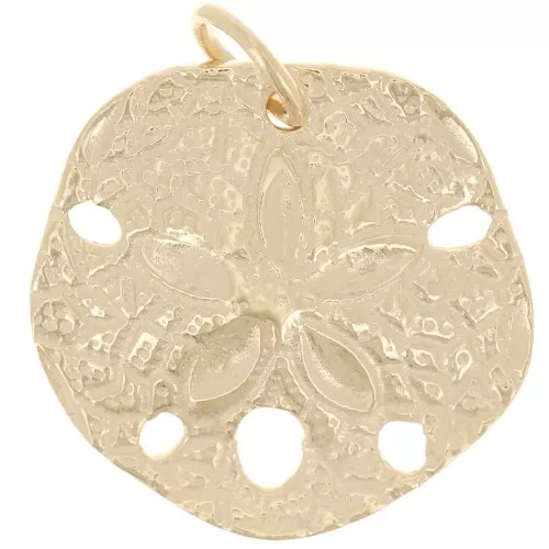 Colgante Dólar de Arena Curvo Irregular 18 mm - Chapdo de oro 3 micras x1