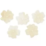 Cuenta flor de resina opaca de 23 mm - Crema x1