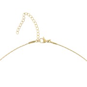 Collar de malla Paloma de 0,9 mm - Acero inoxidable 304 Dorado x 48 cm