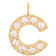 Dije letra alfabeto 13 mm &óxidos de circonio - C - Acero inoxidable 316L Doradox1|raw }}