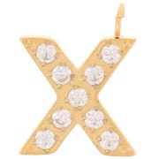 Dije letra alfabeto 13 mm &óxidos de circonio - X - Acero inoxidable 316L Doradox1