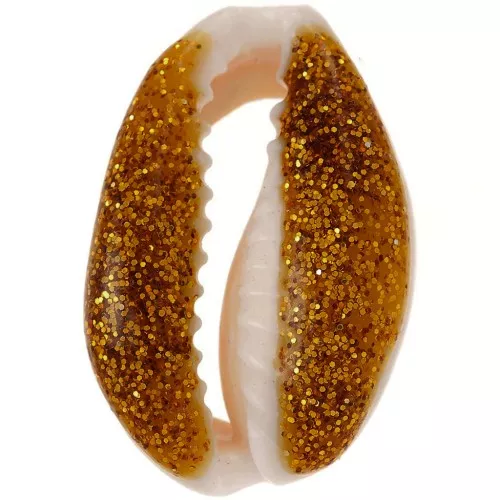 Concha Cauri 18 a 20 mm con resina epoxi - Natural - Dark gold Brillo x1