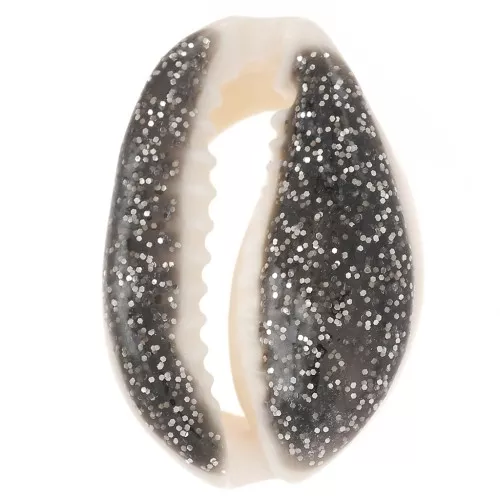 Concha Cauri 18 a 20 mm con resina epoxi - Natural - Brillo negro x1