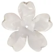 Blanco - Colgante Flor de Acetato 25 mm - Carey - Blanco Nacarado x1 Colgante Flor de Acetato 25 mm - Carey - Blanco Nacarado x1