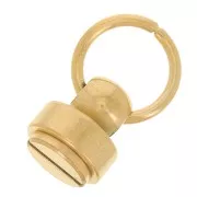 Remaches con anilla 9x8 mm para carcasa de teléfono móvil - Acero inoxidable 304 Dorado x2