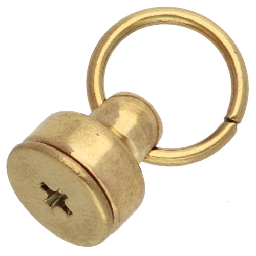 Remaches con anilla de 9 x 8 mm para carcasa de móvil - Acero inoxidable 304L Dorado x2