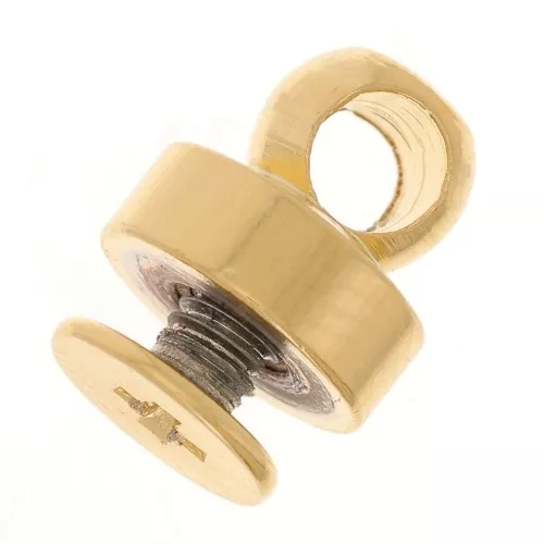 Remaches 9x8 mm para carcasas de móviles - Dorado x2