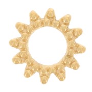 Elemento solar 8 mm - Acero inoxidable 304L Oro x1|raw }}