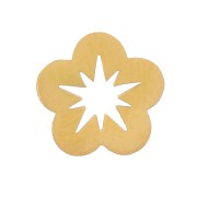 Elementos de brida de 6 mm - Acero inoxidable 316L dorado x5|raw }}