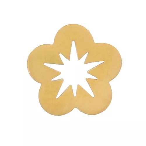 Elementos de brida de 6 mm - Acero inoxidable 316L dorado x5