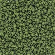 Rocaille Miyuki 15/0 501 - Aguacate opaco x8g