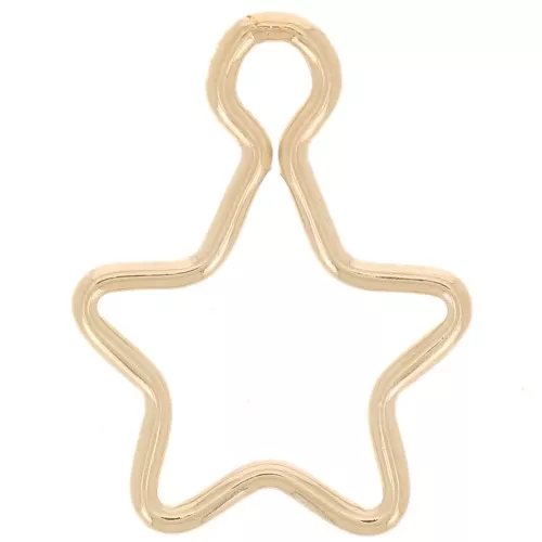 Colgante de estrella de 11 mm con Gold Filled x1