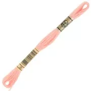 DMC Hilo de bordar Special 117 MC - Surimi (20) x8m