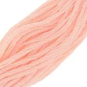 DMC Hilo de bordar Special 117 MC - Surimi (20) x8m