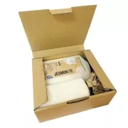 Kit básico de polvo (2,5 kg) y líquido (1 l) AC100 - Jesmonite