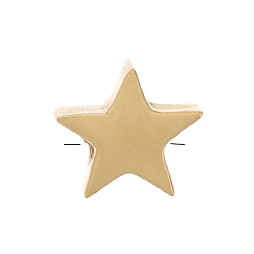 Cuenta de estrella plana de 4 mm - Acero inoxidable 316L dorado x1