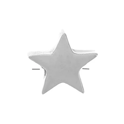Cuenta de estrella plana de 4 mm - Acero inoxidable 316L x1