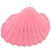 Colgante de concha tintada 16 a 20 mm - Rosa x1|raw }}