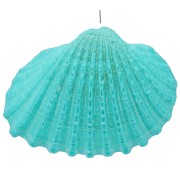 Colgante de concha tintada 16 a 20 mm - Turquesa x1|raw }}