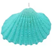 Colgante de concha tintada 16 a 20 mm - Turquesa x1