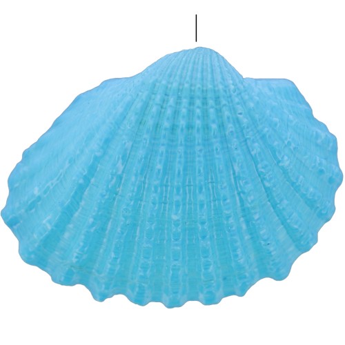 Colgante de concha tintada 16 a 20 mm - Azul x1