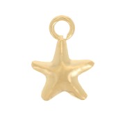 Mini estrella 8x5,5 mm - Gold filled (oro laminado) x1|raw }}