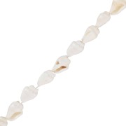 Mini conchas 10 mm - Natural x146cm