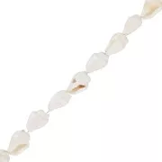 Mini conchas 10 mm - Natural x146cm