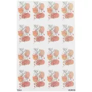 Flor - VeroS transfer sheet 13.5x9 cm - papel soluble para arcilla polimérica - N°031 x1 VeroS transfer sheet 13.5x9 cm - papel soluble para arcilla polimérica - N°031 x1