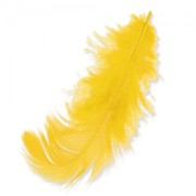 Plumas de 8 a 12 cm Amarillo x3gr|raw }}
