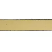 Cordón plano cuero 10 mm Dorado x30cm