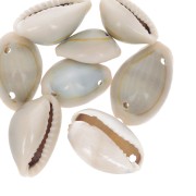 Surtido de conchas Cauri Natural x 10