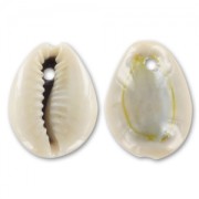 conchas Cauri Natural x 10|raw }}