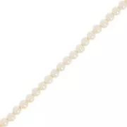 Cuentas de perlas Aurora 5810 3 mm - Crystal Cream Pearl x61cm