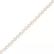 Cuentas de perlas Aurora 5810 3 mm - Crystal Creamrose Pearl x61cm