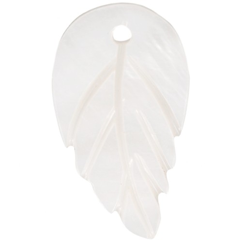 Colgante de concha de hoja 21x12 mm - Natural x1