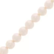 Cuentas de perlas Aurora 5810 8 mm - Crystal Creamrose Pearl x38cm