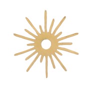 Elementos solares 6 mm acero inoxidable 316L dorado x4|raw }}